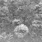 thumbnails/010-Film021-31.jpg.small.jpeg